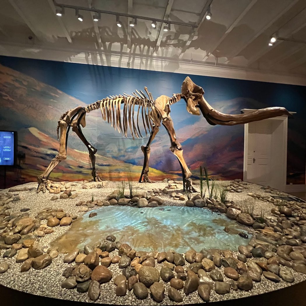FossilFestival 2