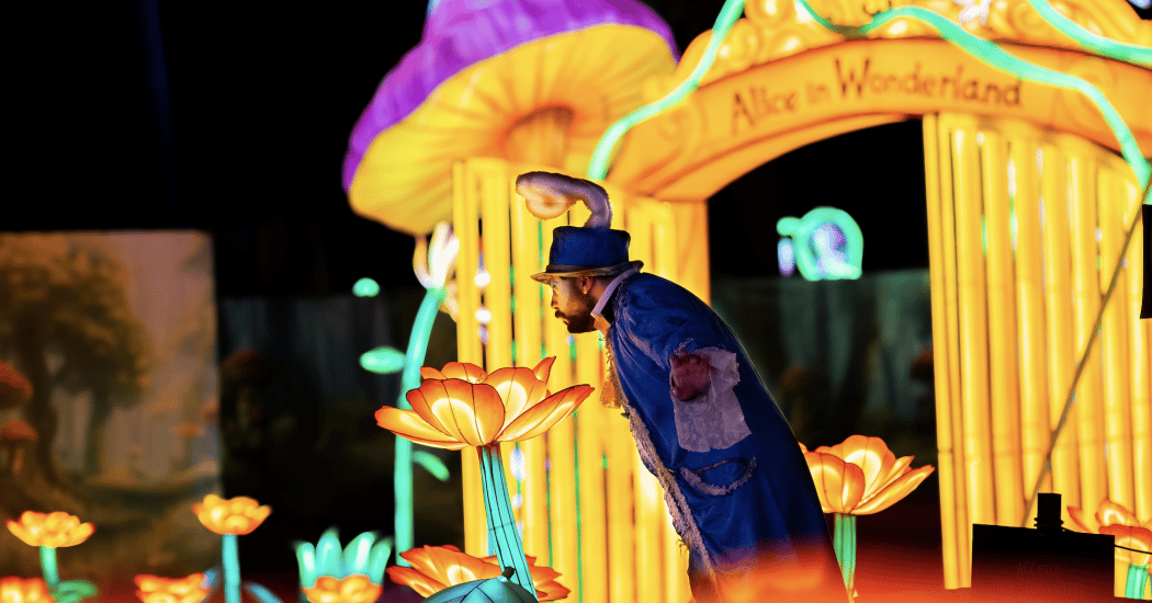This Is Wonderland 4
