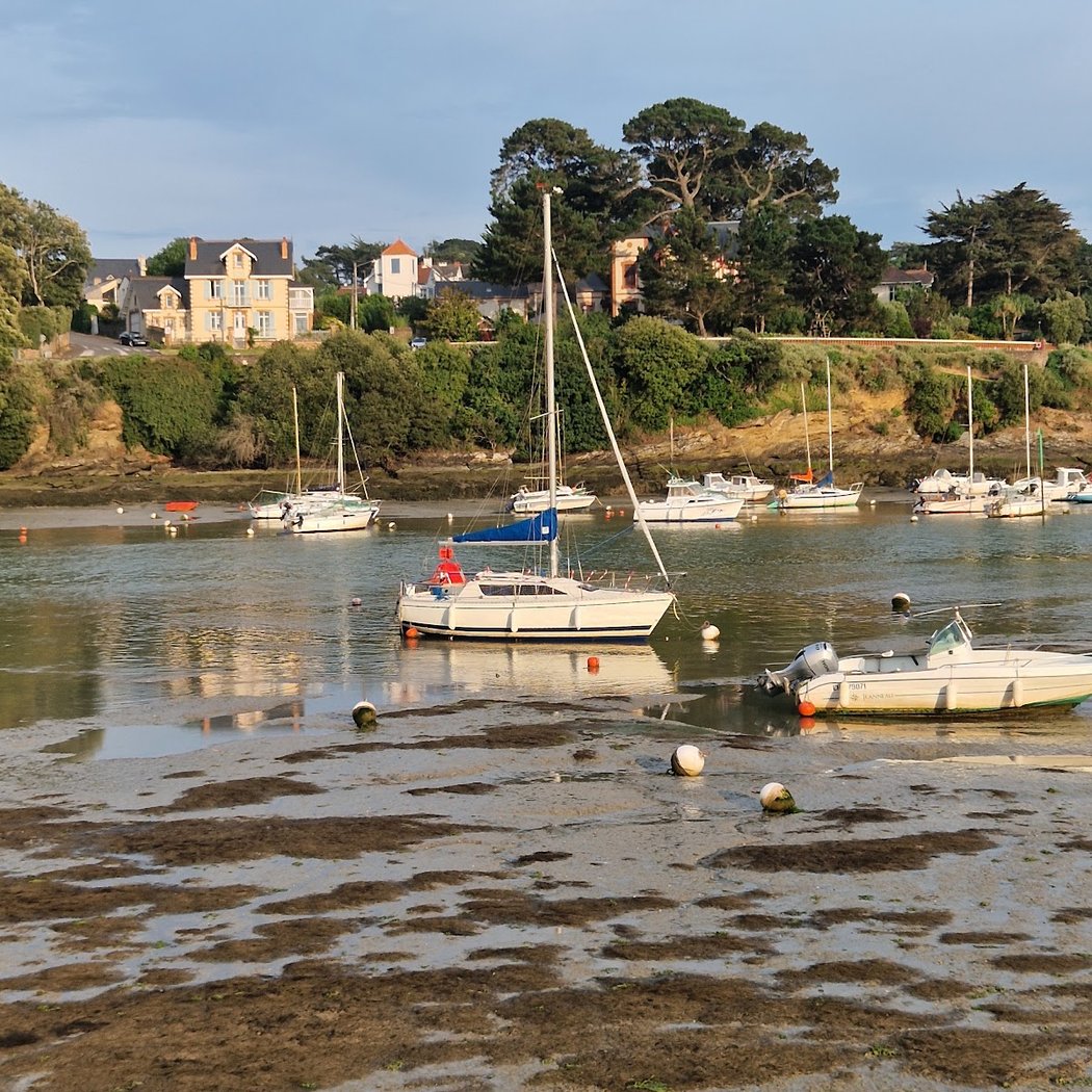 L'histoire du port de Pornic et ses vieux gréments par Coques en bois 3