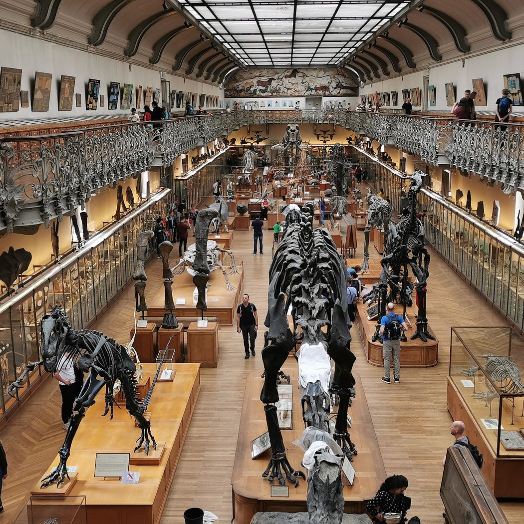 Festivals saisonniers au Jardin des Plantes 2