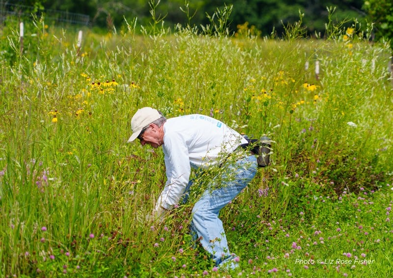 Restoration Workday 3