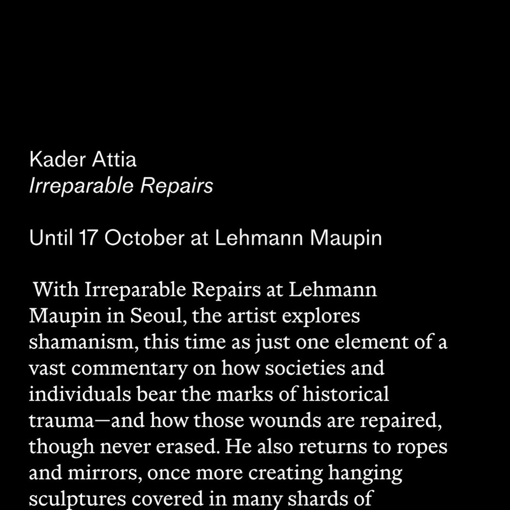 Kader Attia - Irreparable Repairs 1