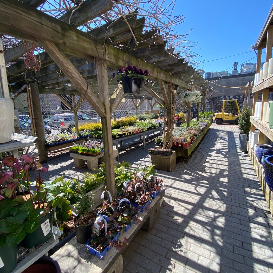 Chelsea Garden Center 4