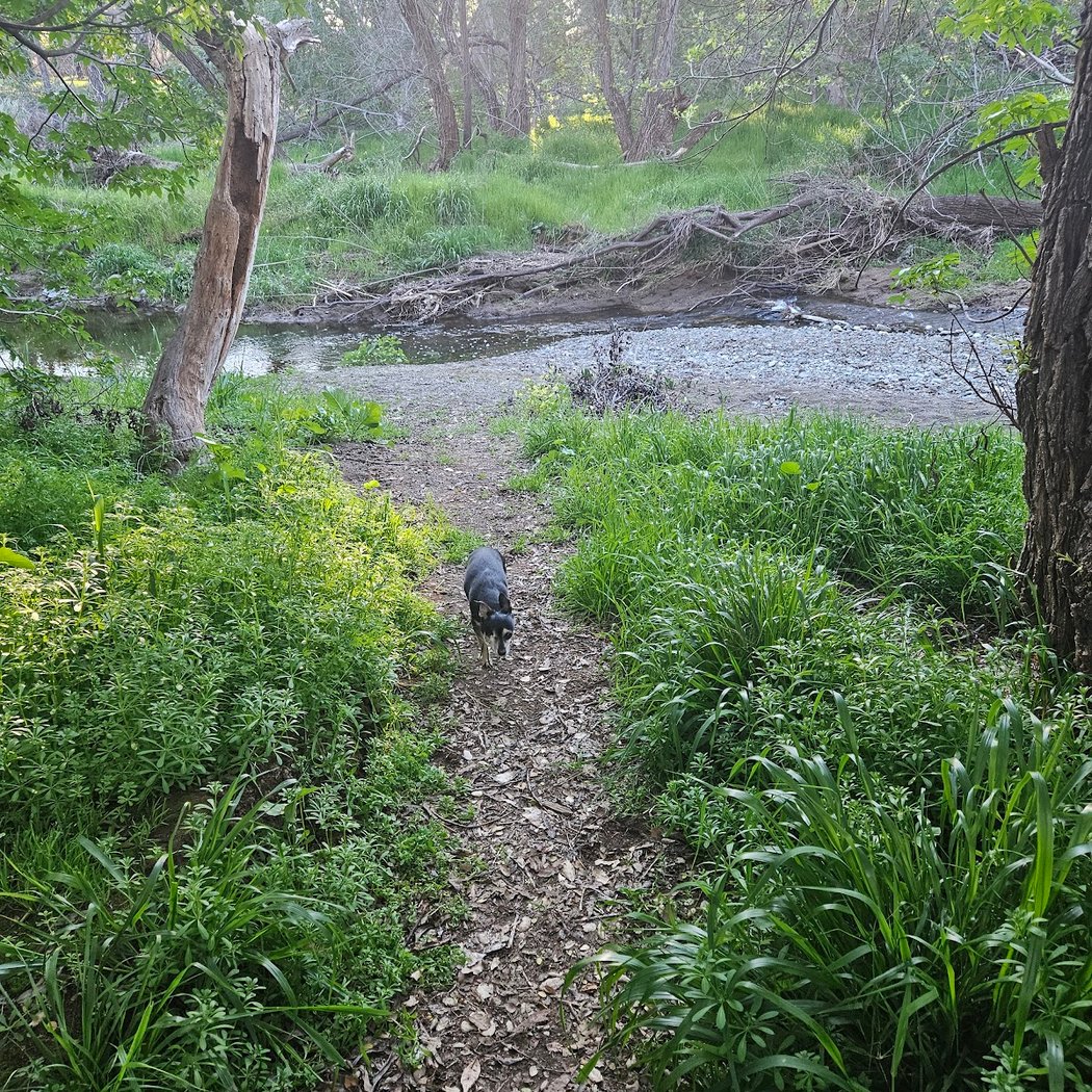 Brazil Quarry Park 1