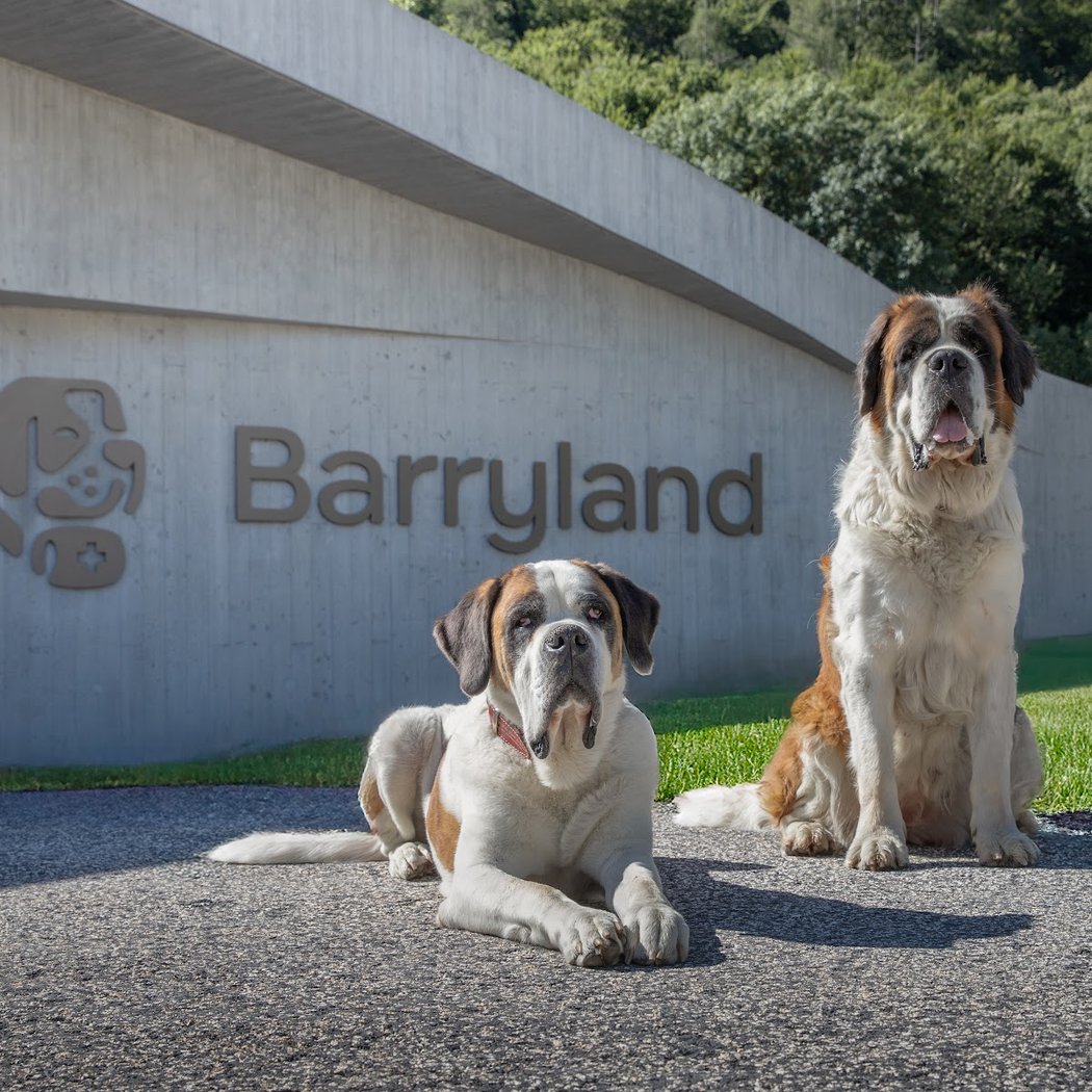 Barryland 1