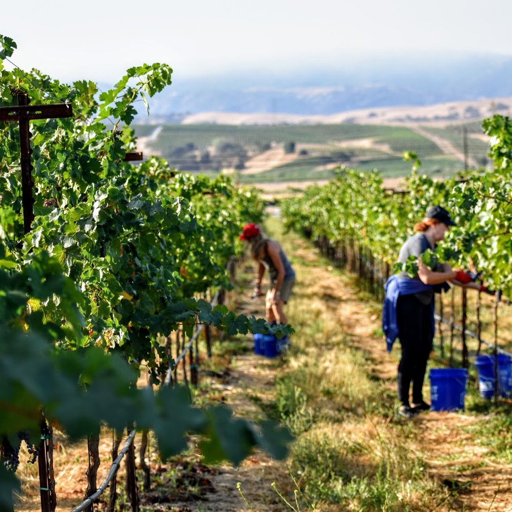 Extended Tasting Room Hours 4
