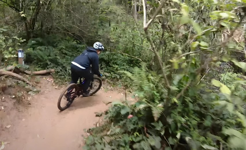 Mount Sutro 3