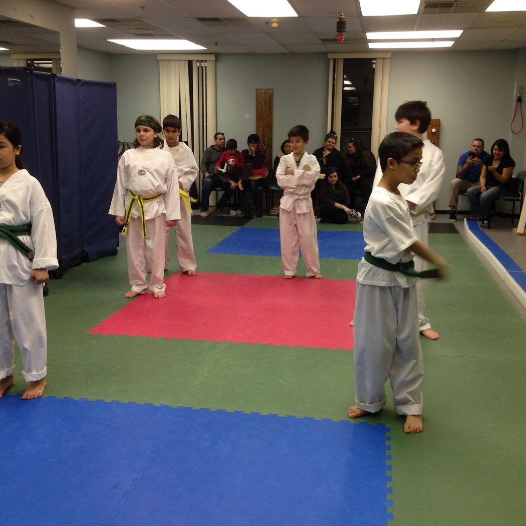 Sensory Taekwon-Do 2