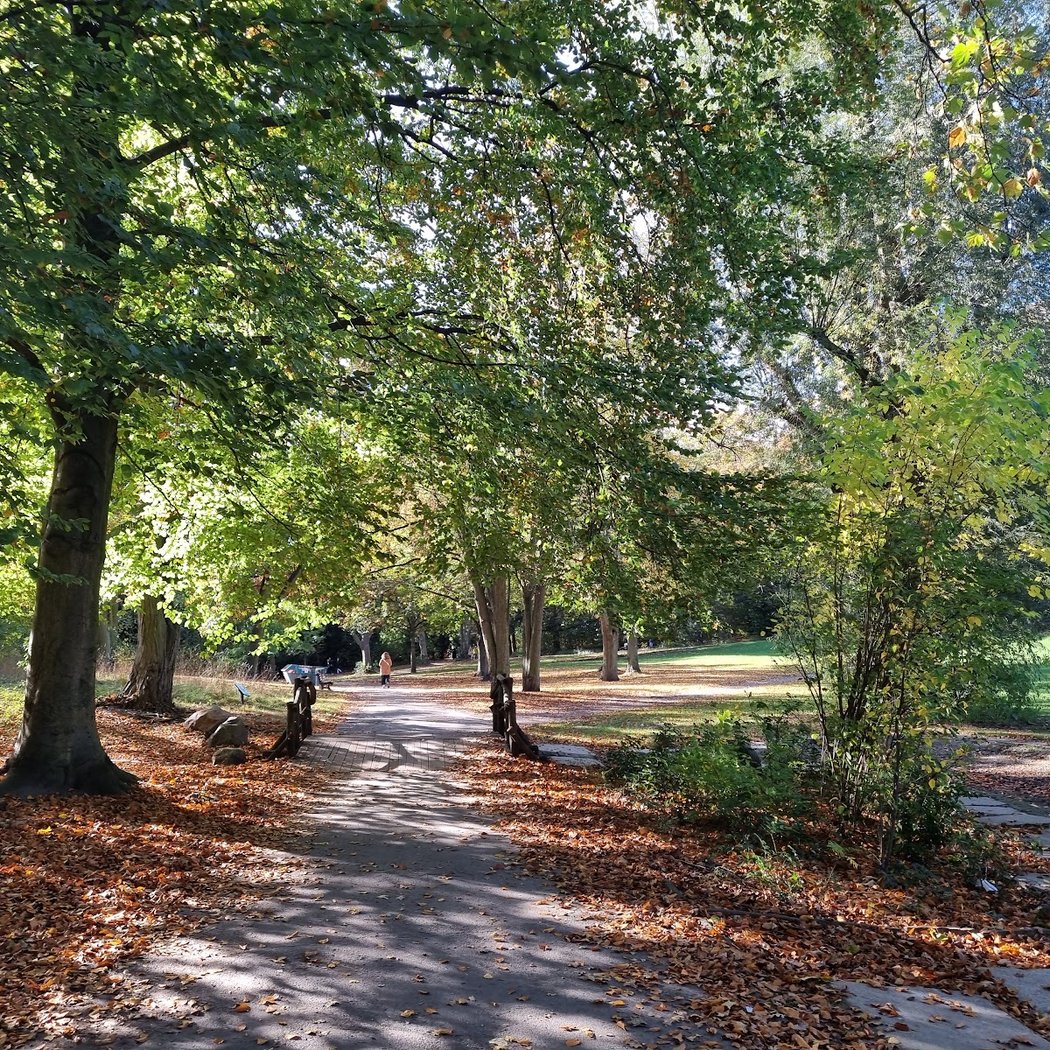 Volkspark Humboldthain 3