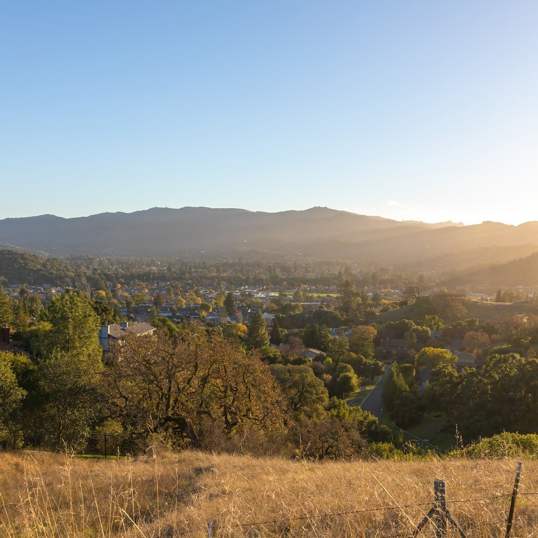 Dwarf Oak Trail Trailhead (Mount Burdell) 3