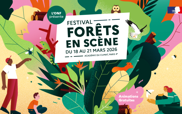 Les Vieilles Forêts sous le regard des scientifiques 1