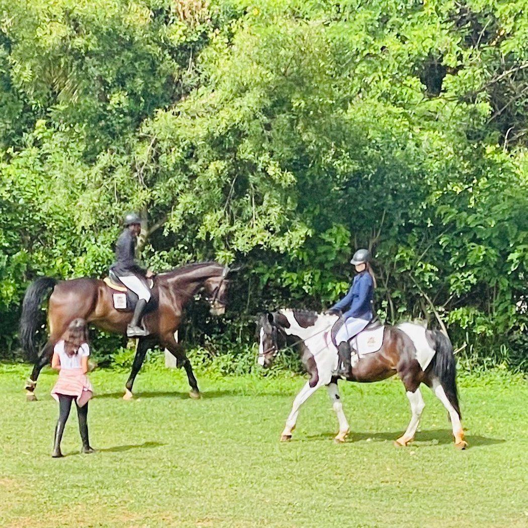Embassy International Riding School 3