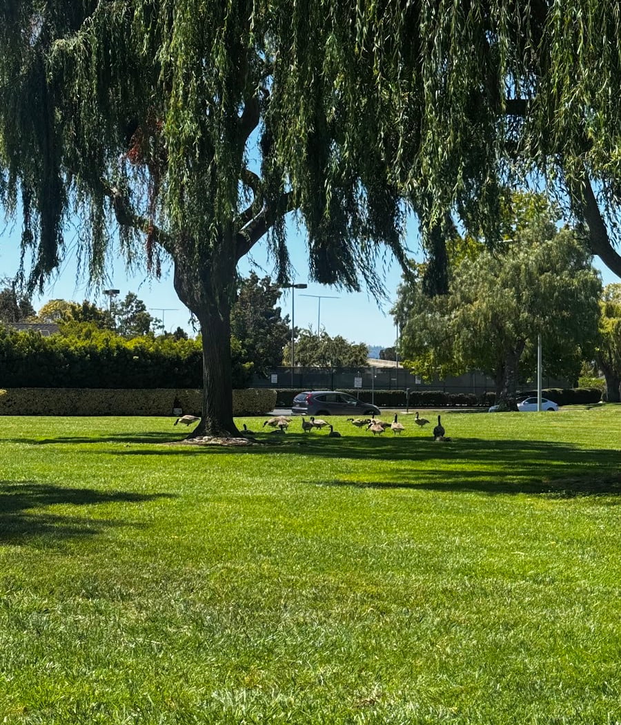 Farragut Park 2
