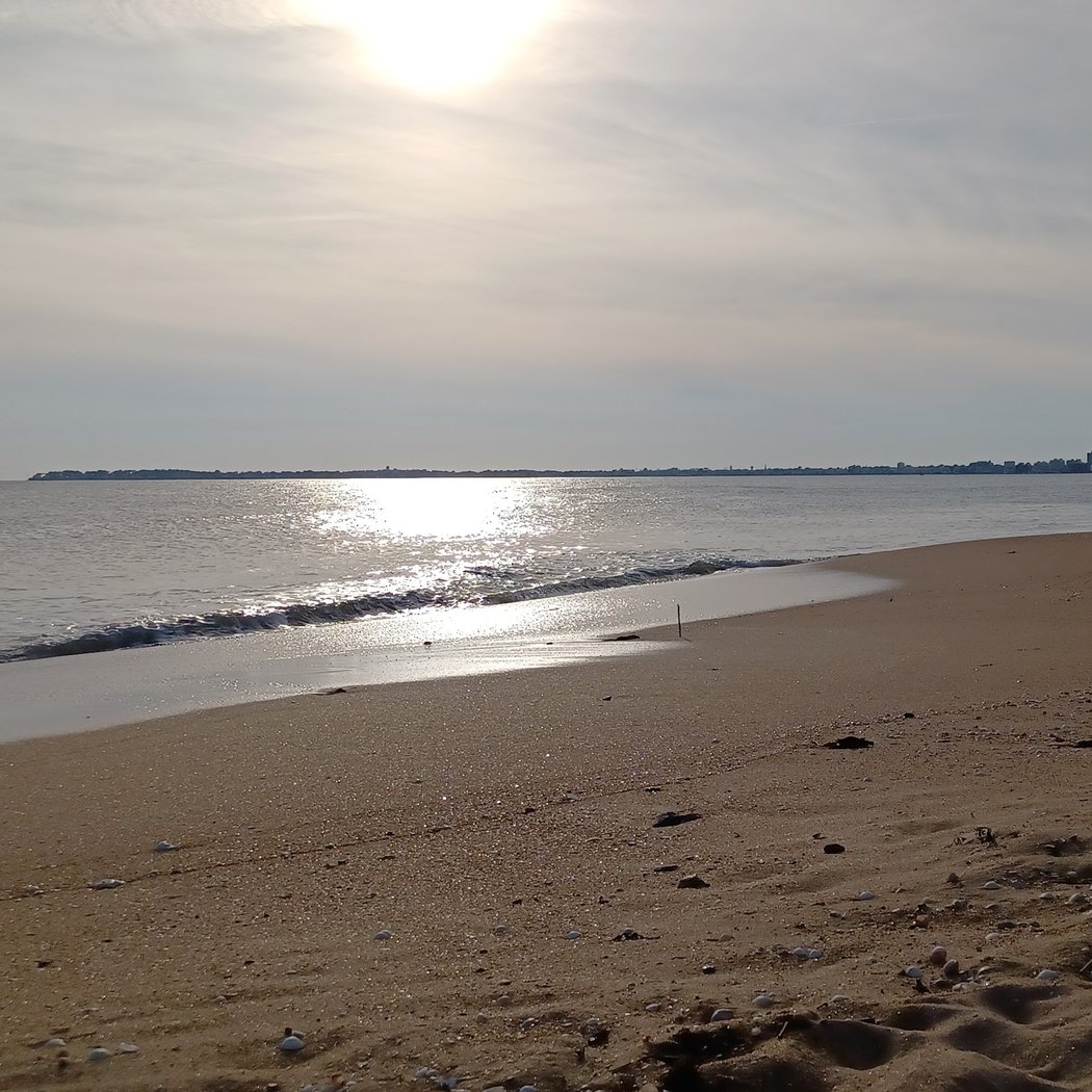 La Baule - Quartier du centre-ville : villas et architecture - 1h30 3