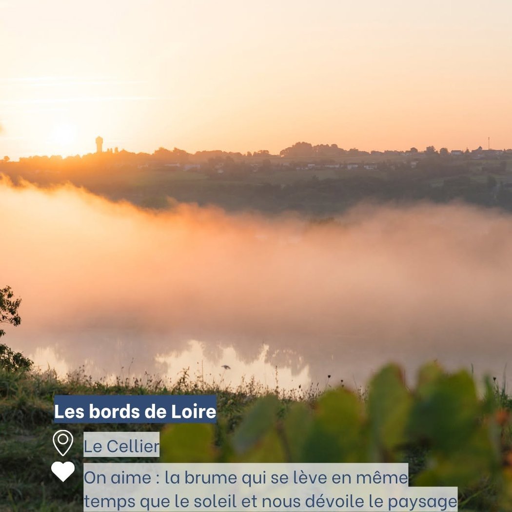 Space Loire Rives 1
