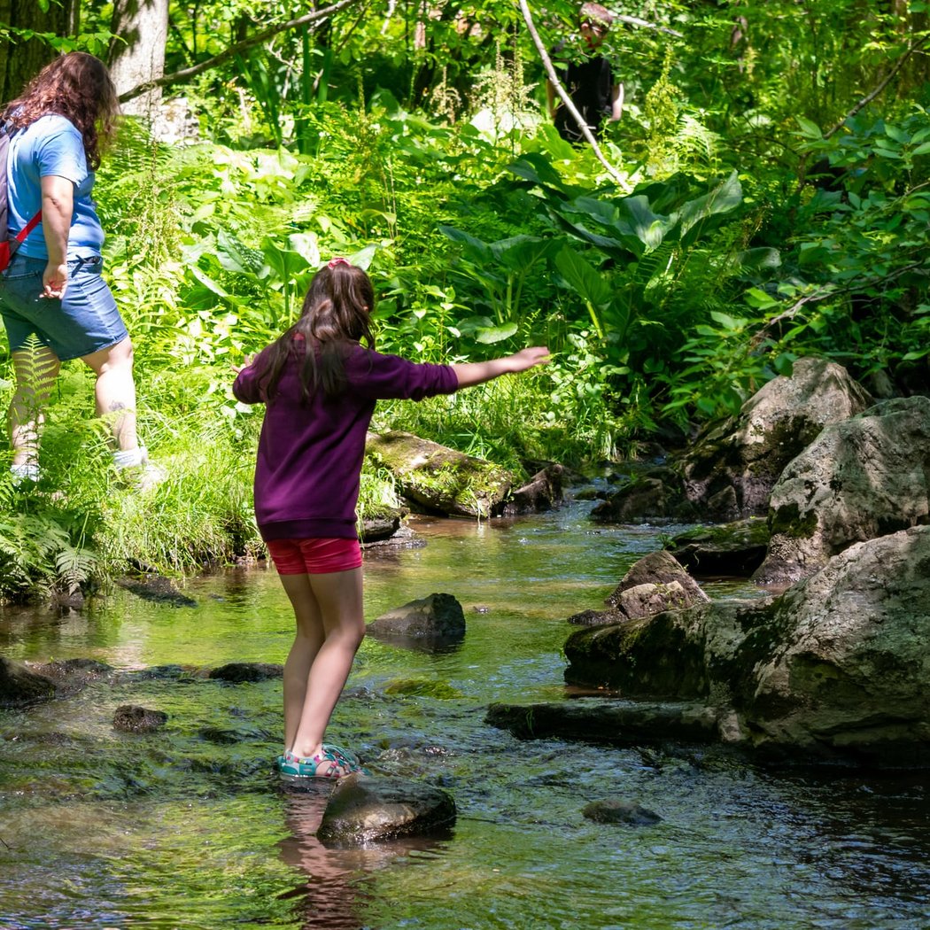 A Nature Year at Broad Meadow Brook 1