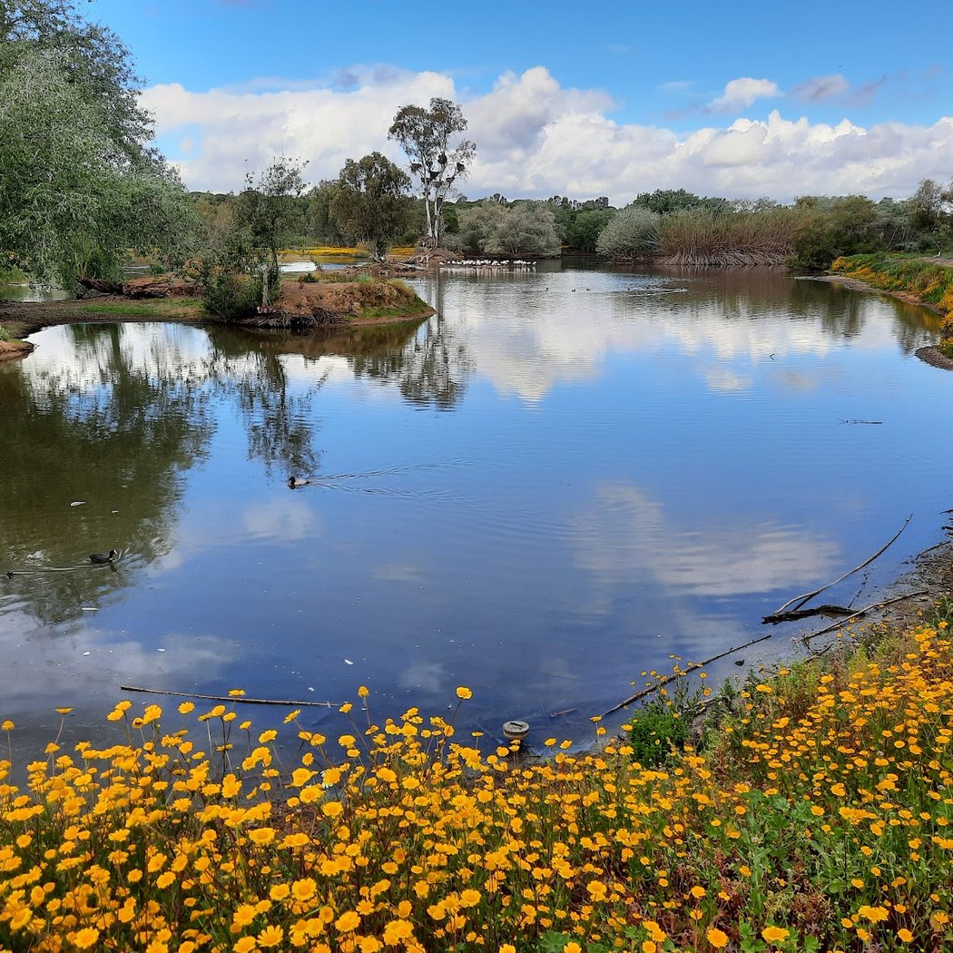 Cañada de los Pájaros 1