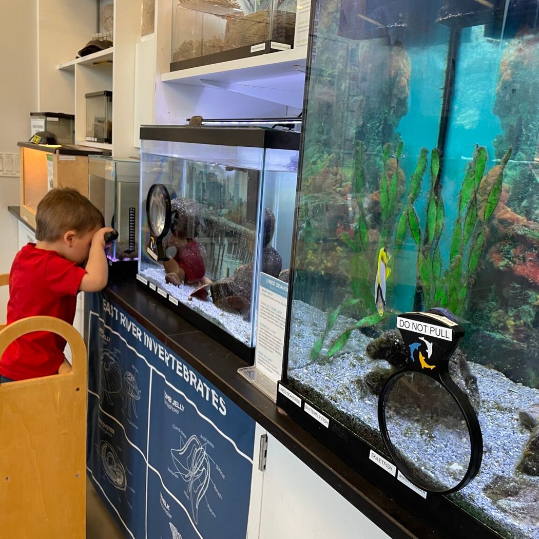Environmental Education Center Open Hours 1