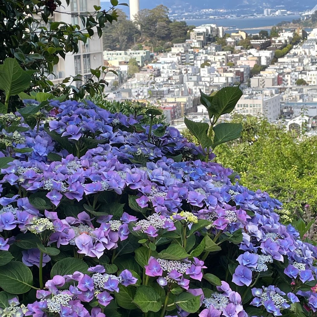 Vallejo Stairway 1