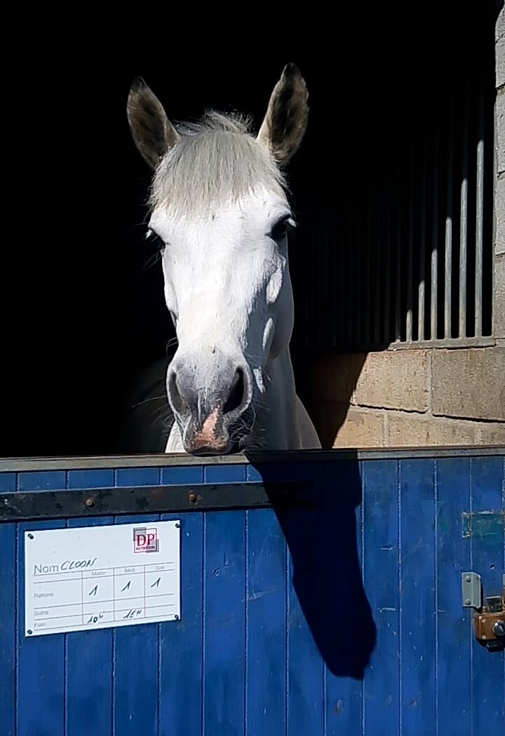 Equestrian Center Municipal D'orly 1