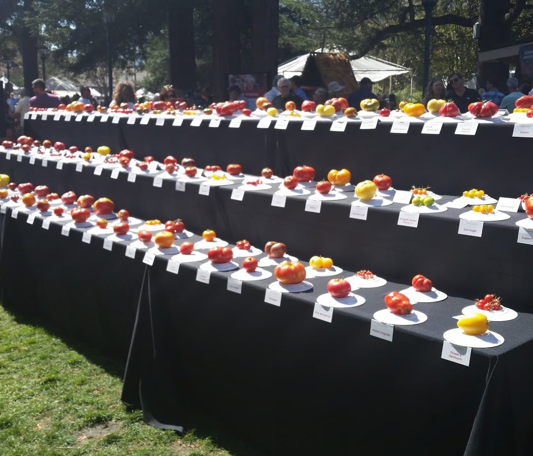 Los Gatos Farmers Market 1