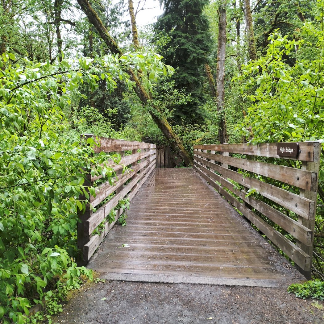 Storytime & Nature Walk 2
