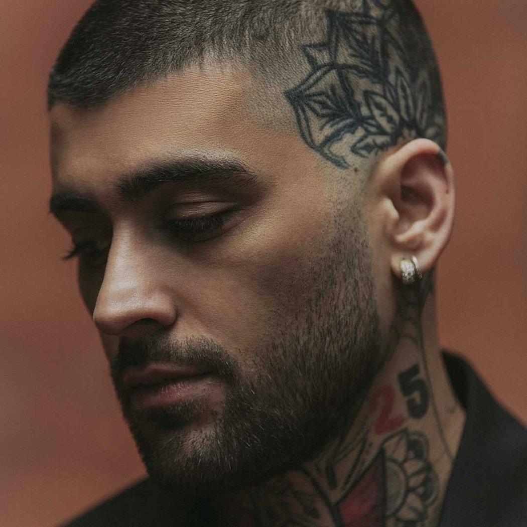 ZAYN Meet & Greet 1