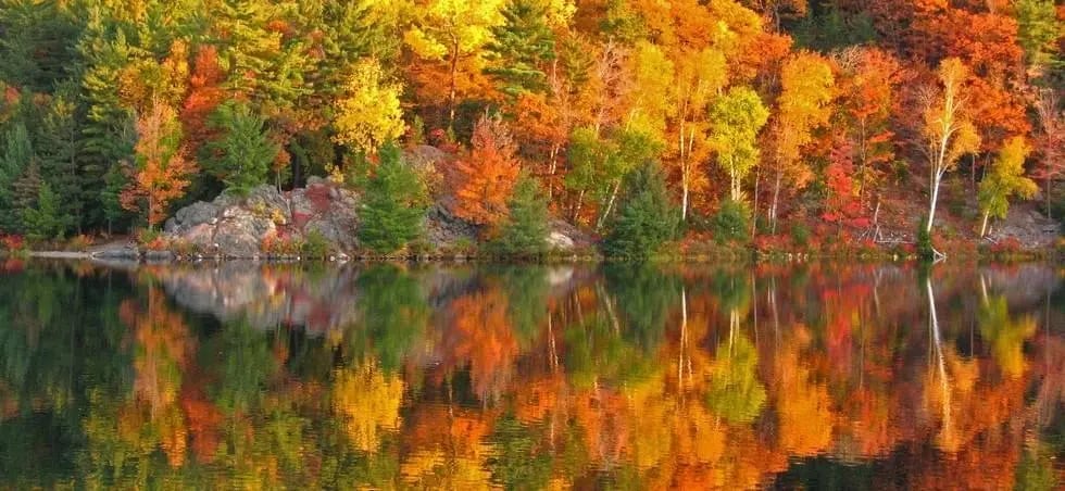 Canada 1