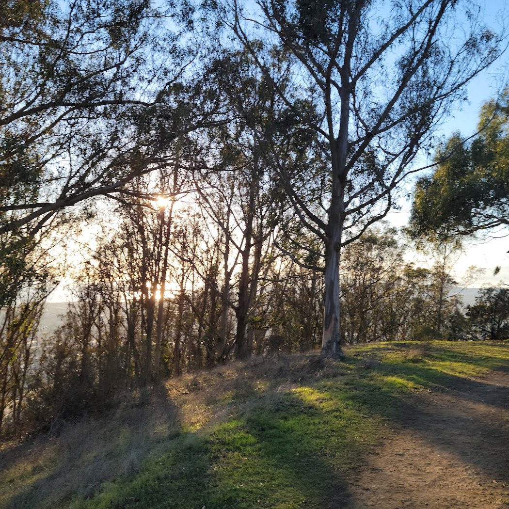 Motorcycle Hill 3