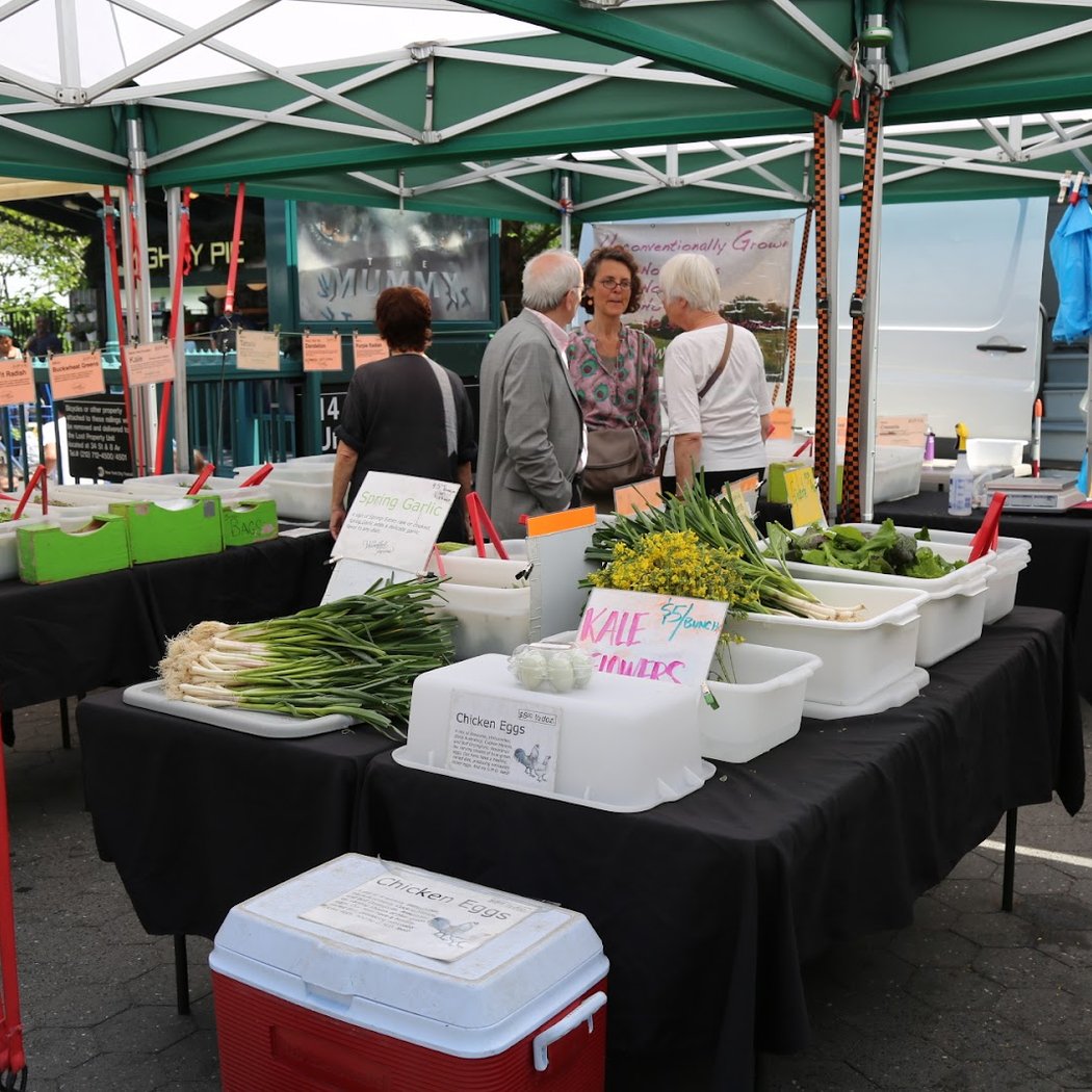 Seed Starting Mix Workshop 3