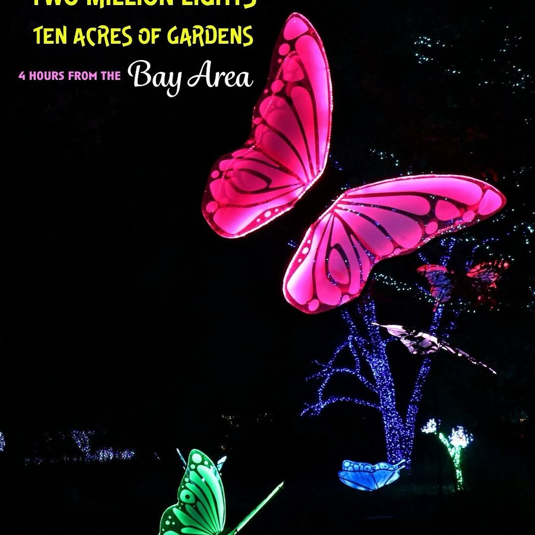 Redding Garden of Lights 1