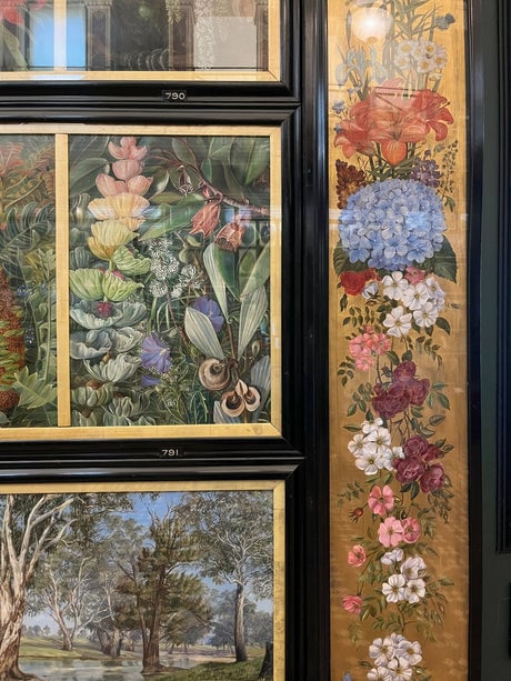 Marianne North Gallery 4