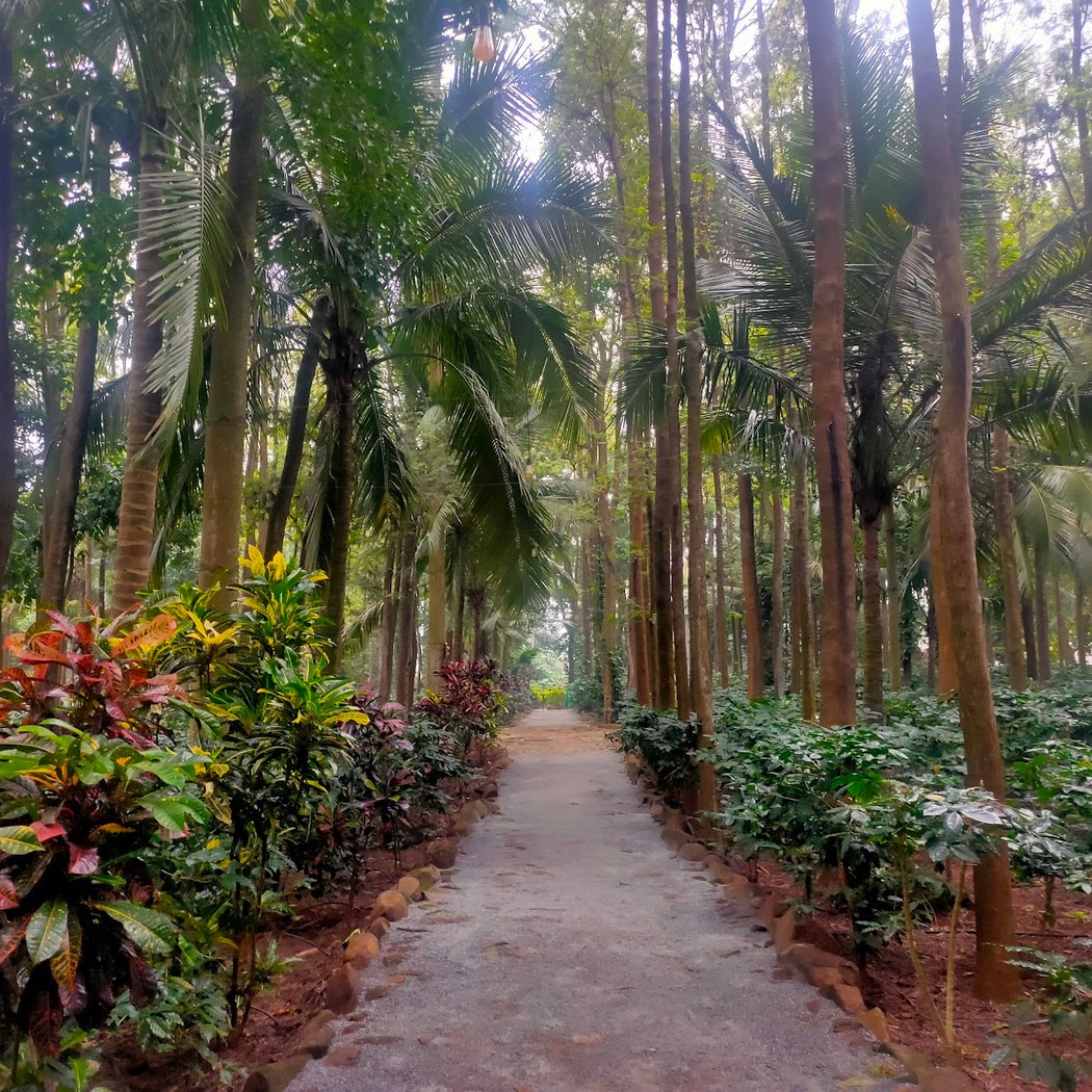 Citrus Trail Farm & Kitchen (Reservation mandatory) 2