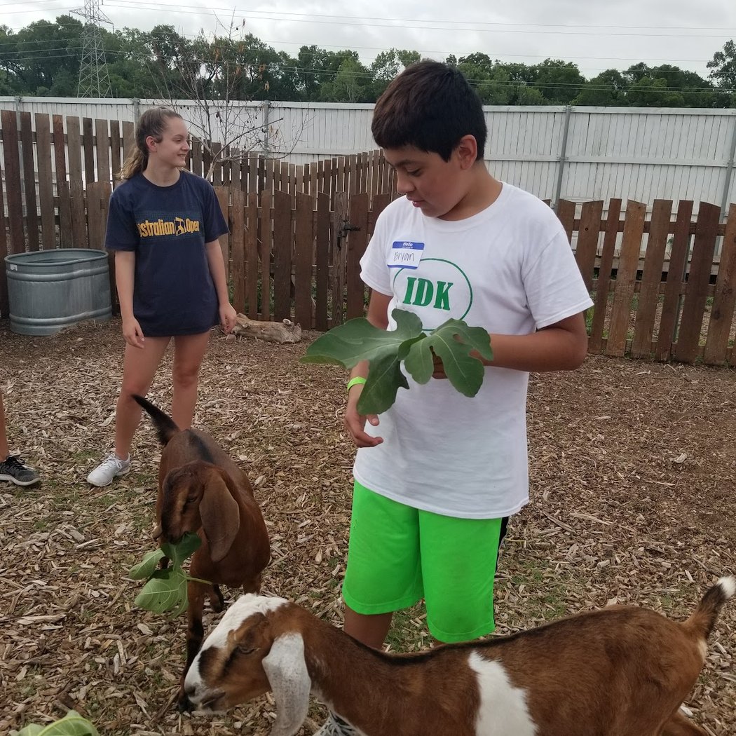 Bonton Farms 3