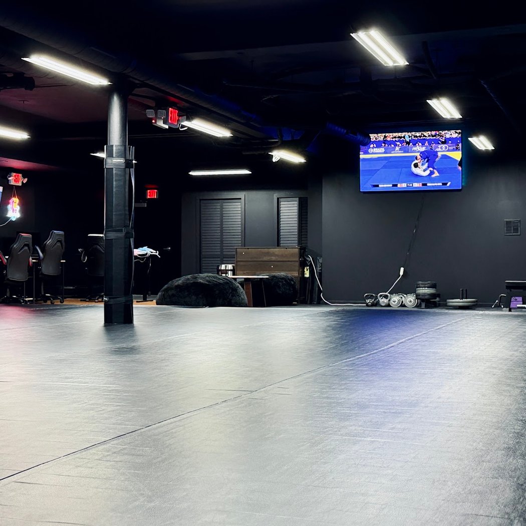 Beginner Friendly Brazilian Jiu-Jitsu Training 2