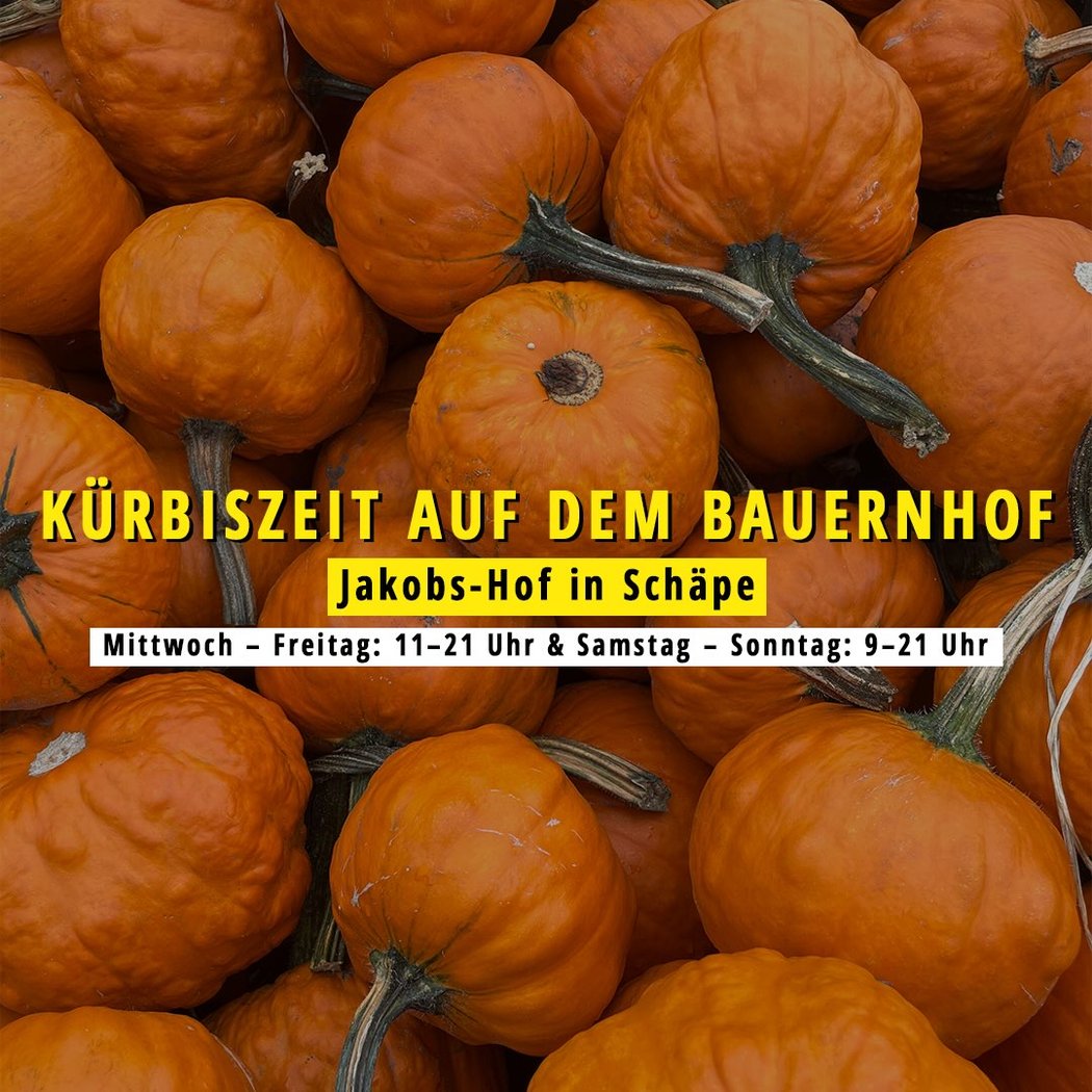 Kürbiszeit auf dem Bauernhof 1