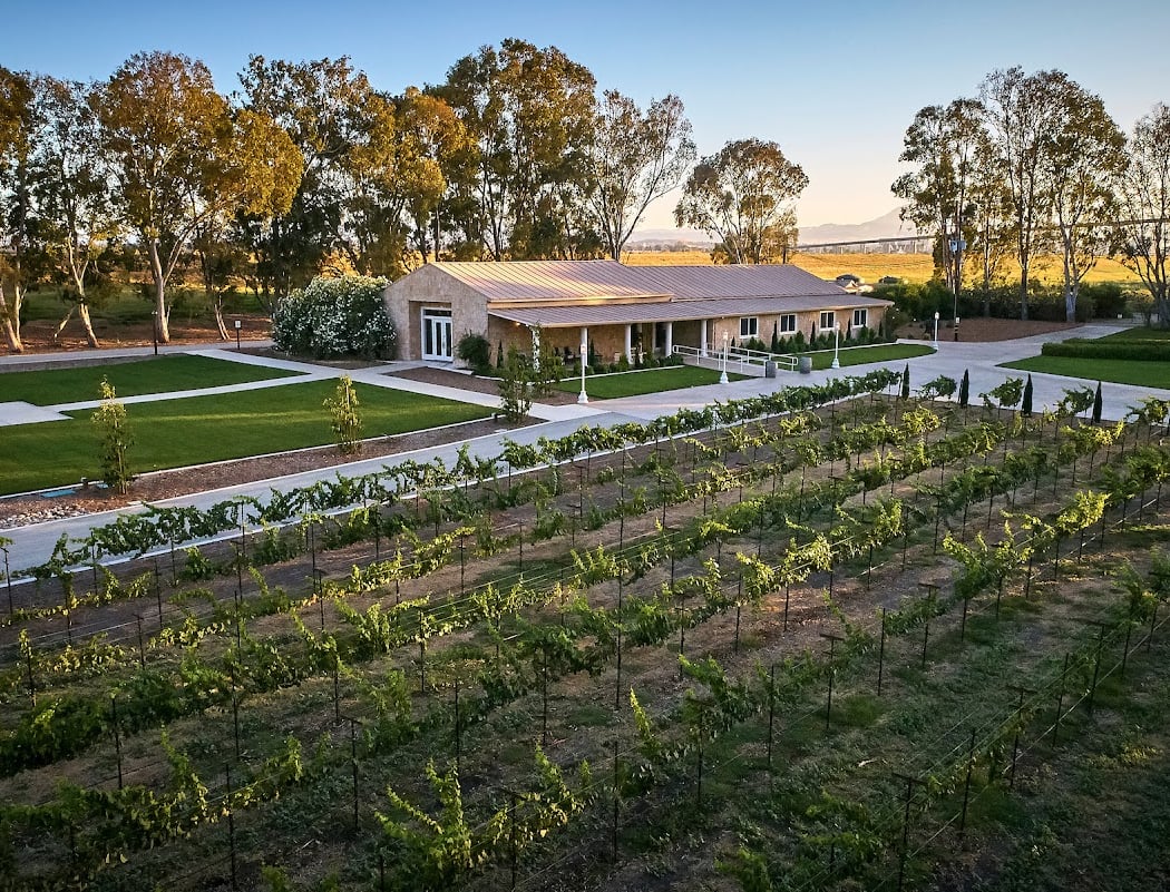 Belle Vie Vineyard 2