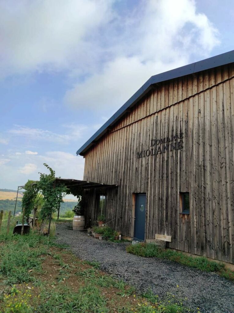 Domaine Miolanne - Vignoble bio & Bar à vin éphémère 2