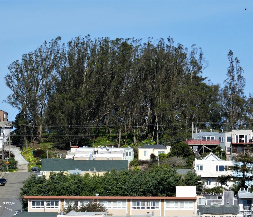 Dorothy Erskine Park 3