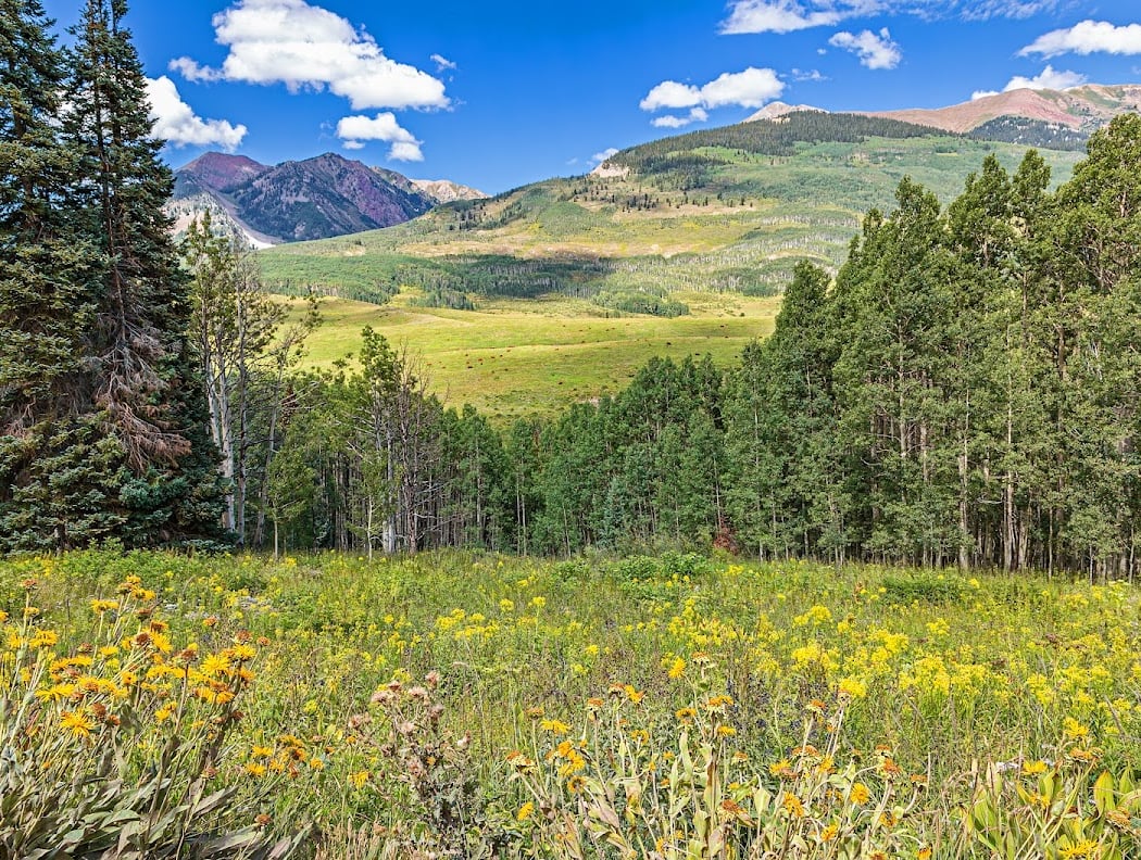 Snodgrass Trailhead 1