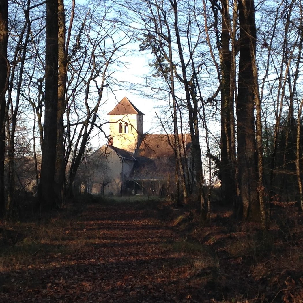 Forêt Domaniale de Châteauroux 1