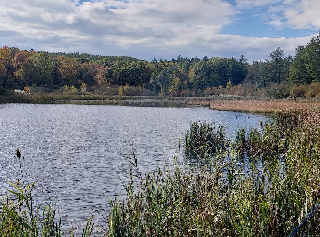 Wilson M. Powell Wildlife Sanctuary 2