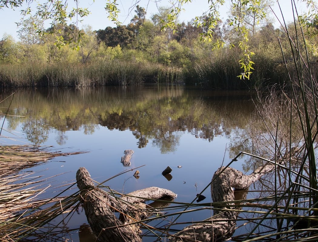 Shipley Nature Center 1