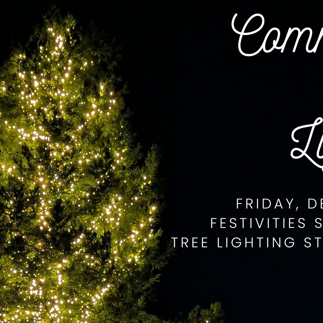 Community Tree Lighting 1