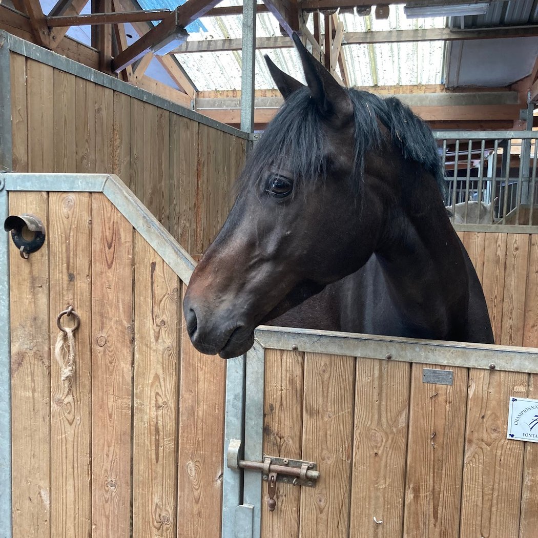 CENTRE EQUESTRE BASE LOISIRS DE JABLINES 2