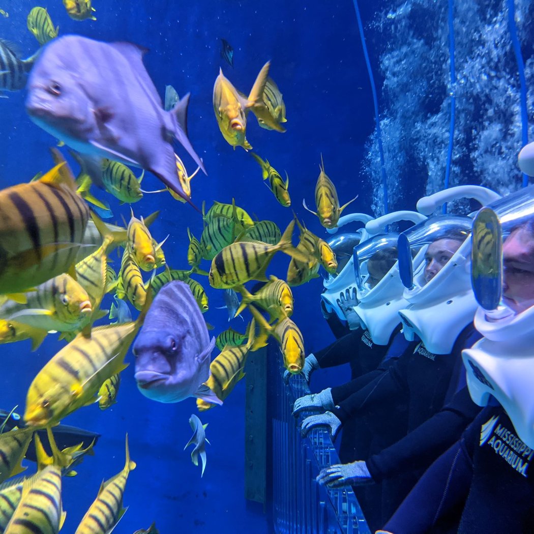 Mississippi Aquarium 1