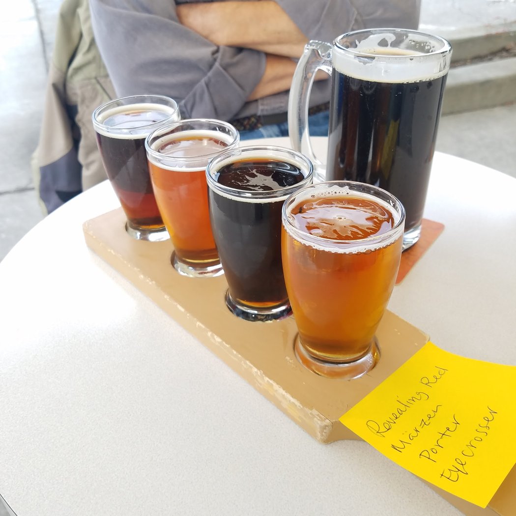 Freewheel Brewing Company 3