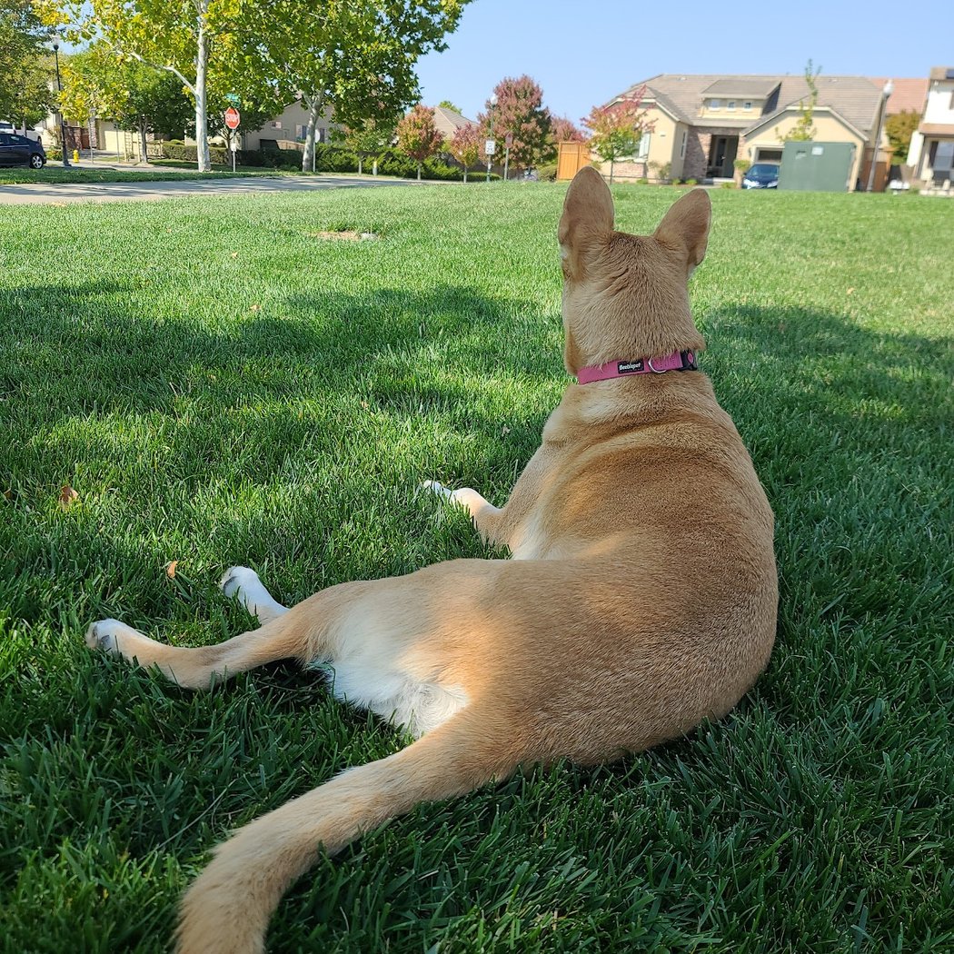 Old Vineyard Park 3