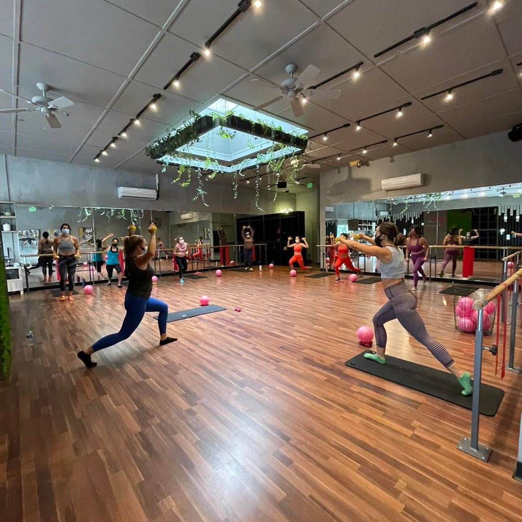 Wild & the Barre Fitness Studio 3