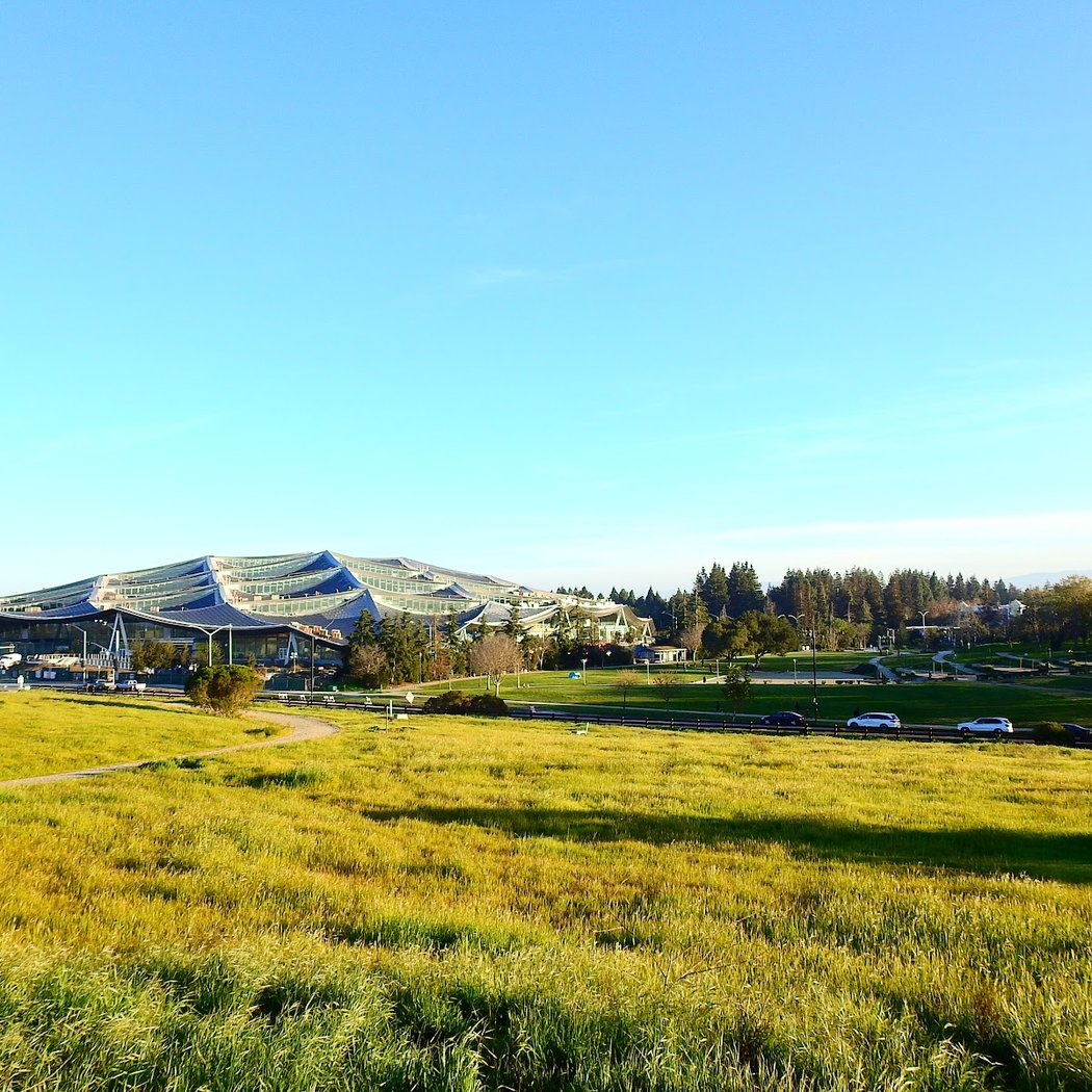 Vista Slope At Shoreline Park 3